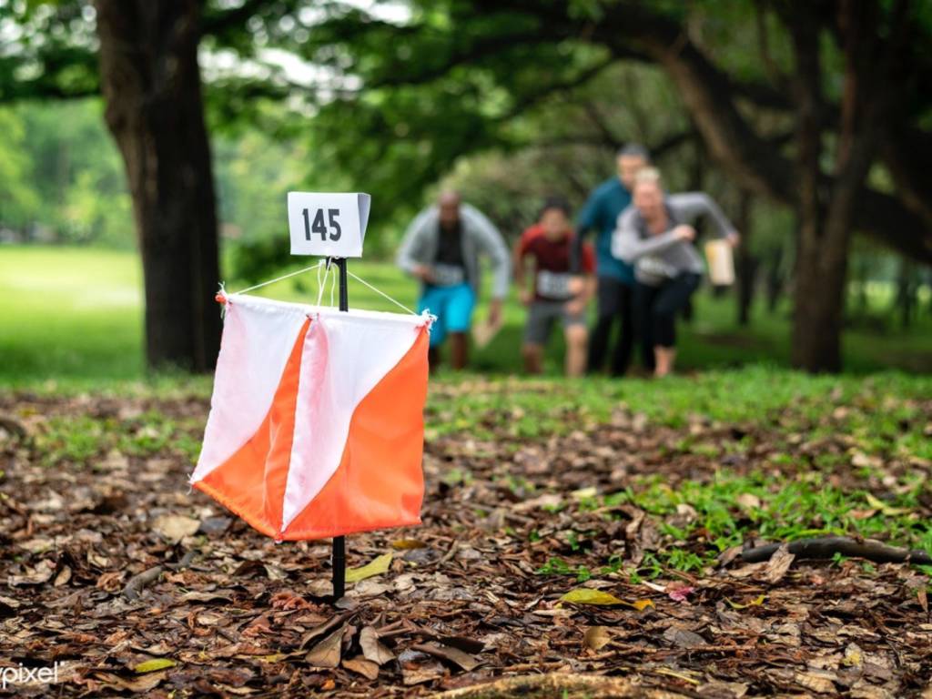 orienteering-643374.large_